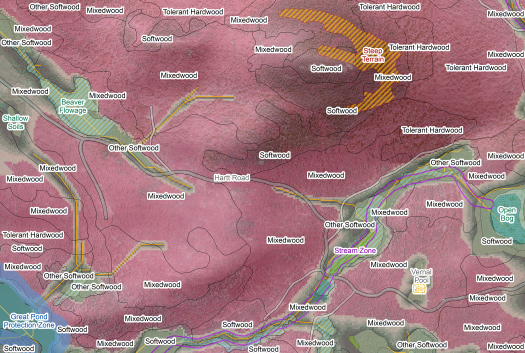 Example of a GIS map showing layout of Mixedwood, Softwood, Tolerant Hardwood and other classifications.